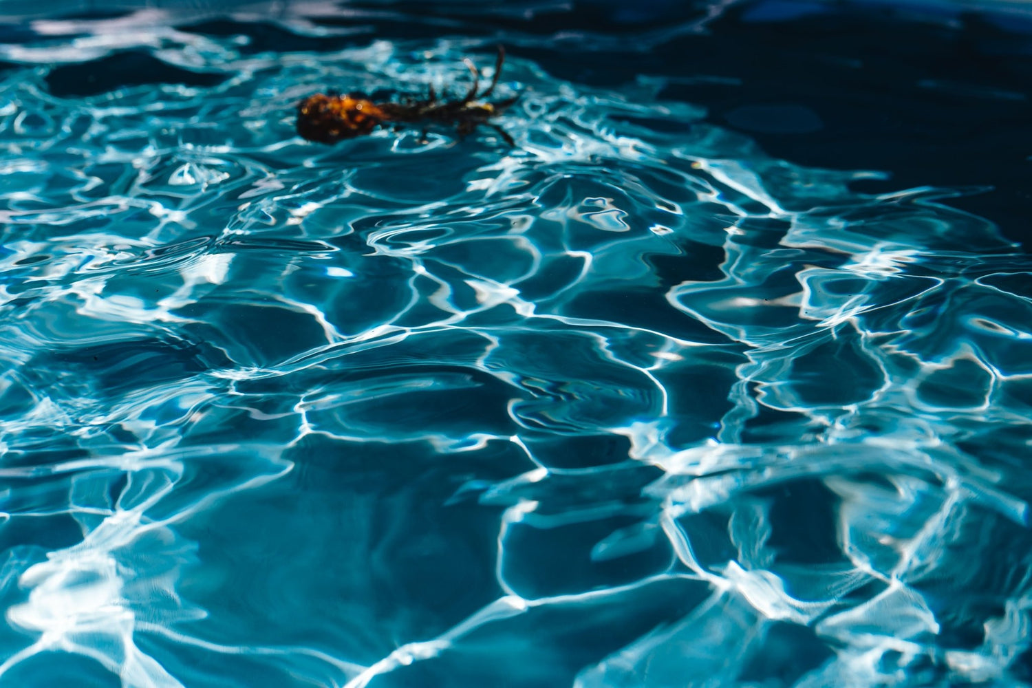 Accessoires pour piscine - Piscines Soucy