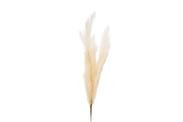 Pampas blanc cassé 138cm - Piscines Soucy