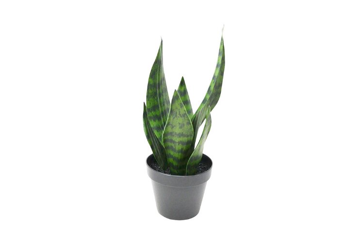 Sansevieria artificielle en pot 32cm - Piscines Soucy